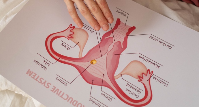 Utero retroverso: cosa comporta? Incide sulla fertilità? E sulla gravidanza?